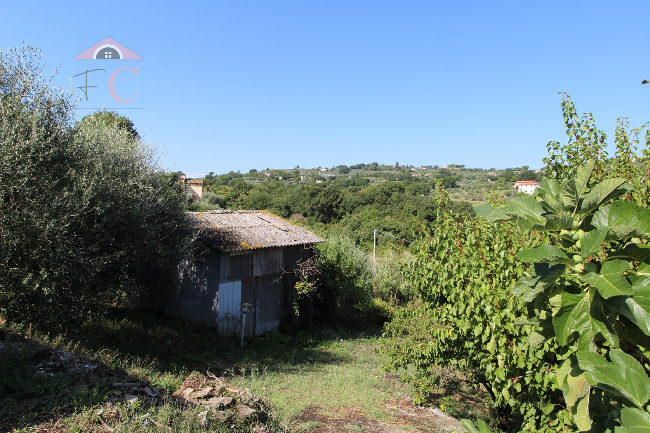 amelia-annessi con terreno-vicino al centro-strada di facile accesso-posizione soleggiata 1.png